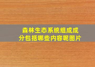 森林生态系统组成成分包括哪些内容呢图片