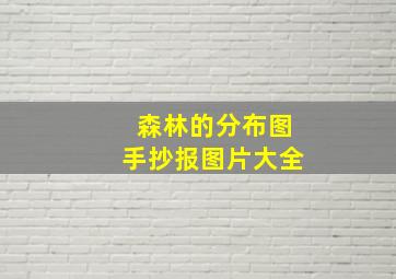 森林的分布图手抄报图片大全