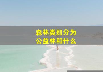 森林类别分为公益林和什么