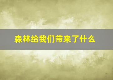 森林给我们带来了什么