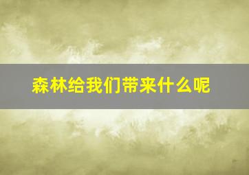 森林给我们带来什么呢