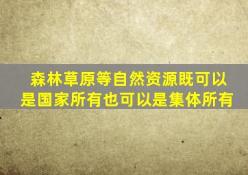 森林草原等自然资源既可以是国家所有也可以是集体所有