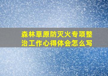 森林草原防灭火专项整治工作心得体会怎么写