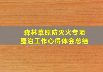 森林草原防灭火专项整治工作心得体会总结