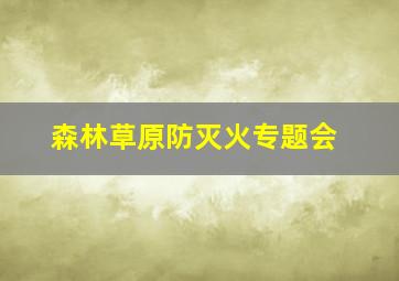 森林草原防灭火专题会