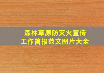 森林草原防灭火宣传工作简报范文图片大全