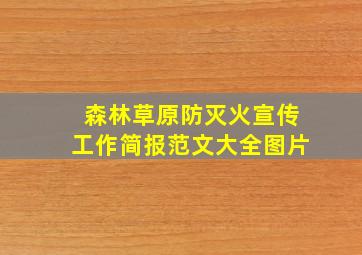 森林草原防灭火宣传工作简报范文大全图片