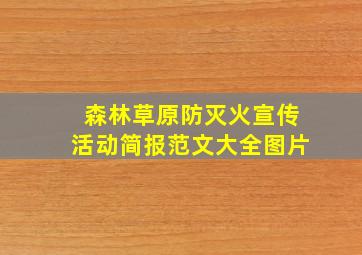 森林草原防灭火宣传活动简报范文大全图片