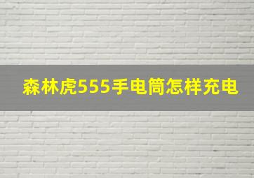 森林虎555手电筒怎样充电