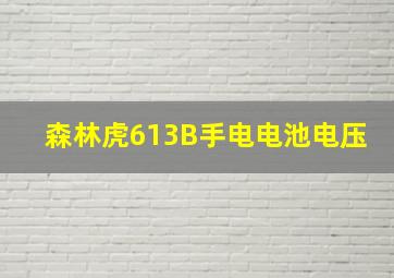 森林虎613B手电电池电压