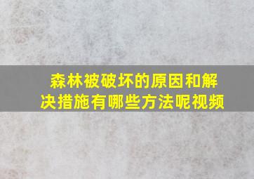 森林被破坏的原因和解决措施有哪些方法呢视频