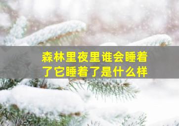 森林里夜里谁会睡着了它睡着了是什么样