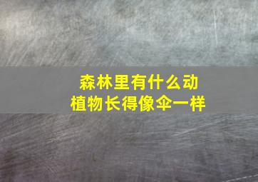 森林里有什么动植物长得像伞一样