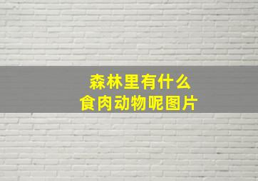 森林里有什么食肉动物呢图片