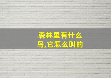 森林里有什么鸟,它怎么叫的