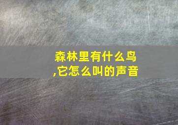 森林里有什么鸟,它怎么叫的声音