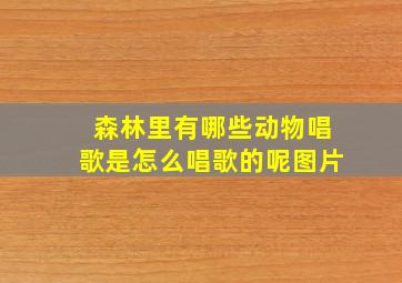 森林里有哪些动物唱歌是怎么唱歌的呢图片