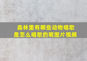 森林里有哪些动物唱歌是怎么唱歌的呢图片视频