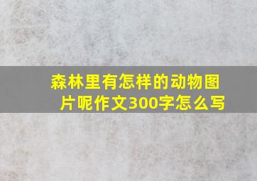 森林里有怎样的动物图片呢作文300字怎么写