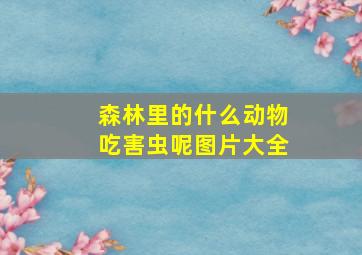 森林里的什么动物吃害虫呢图片大全