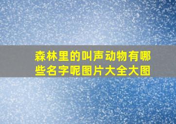 森林里的叫声动物有哪些名字呢图片大全大图