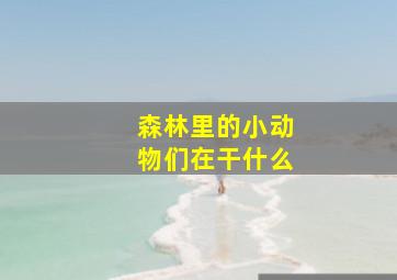 森林里的小动物们在干什么