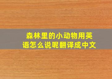 森林里的小动物用英语怎么说呢翻译成中文