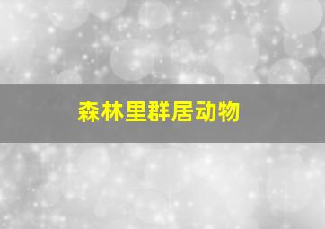 森林里群居动物