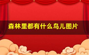 森林里都有什么鸟儿图片