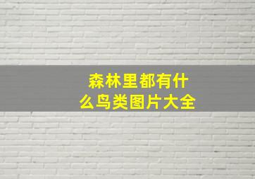 森林里都有什么鸟类图片大全