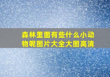 森林里面有些什么小动物呢图片大全大图高清