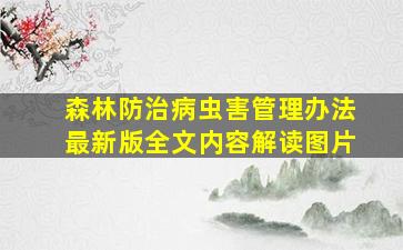 森林防治病虫害管理办法最新版全文内容解读图片