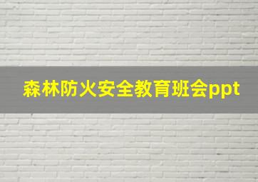 森林防火安全教育班会ppt