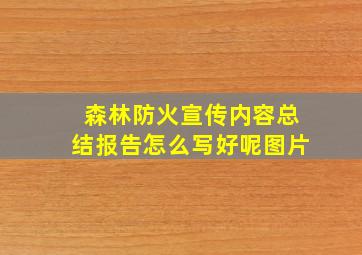 森林防火宣传内容总结报告怎么写好呢图片