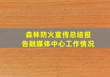 森林防火宣传总结报告融媒体中心工作情况