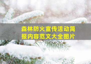 森林防火宣传活动简报内容范文大全图片