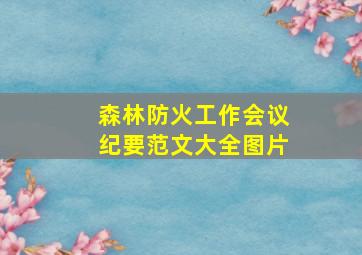 森林防火工作会议纪要范文大全图片