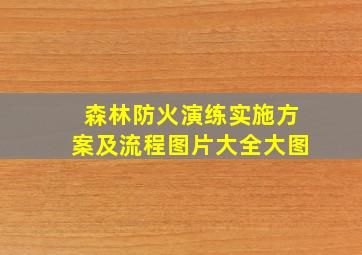 森林防火演练实施方案及流程图片大全大图