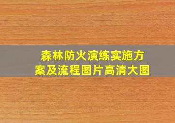 森林防火演练实施方案及流程图片高清大图