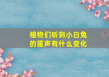 植物们听到小白兔的笛声有什么变化