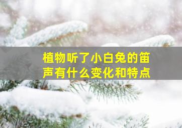 植物听了小白兔的笛声有什么变化和特点