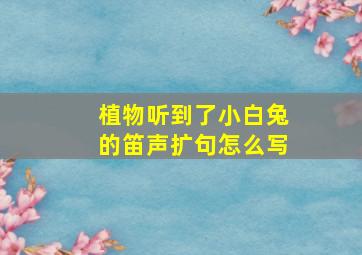 植物听到了小白兔的笛声扩句怎么写