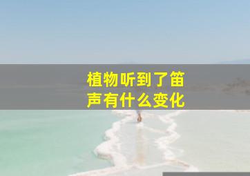 植物听到了笛声有什么变化