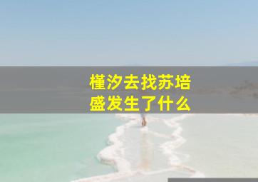 槿汐去找苏培盛发生了什么