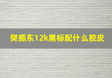 樊振东12k黑标配什么胶皮