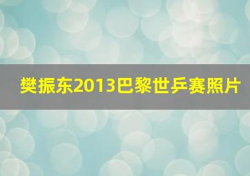 樊振东2013巴黎世乒赛照片