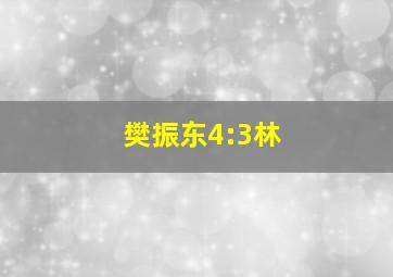 樊振东4:3林