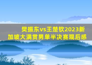 樊振东vs王楚钦2023新加坡大满贯男单半决赛观后感