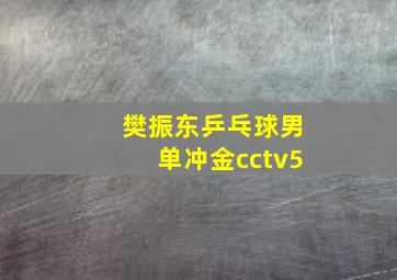 樊振东乒乓球男单冲金cctv5