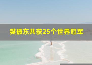 樊振东共获25个世界冠军